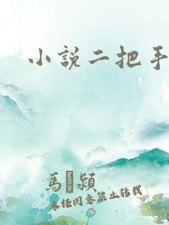 小说二把手