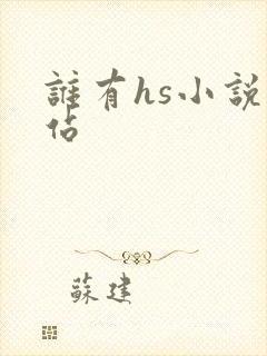 谁有hs小说网站