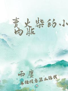 卖火柴的小男孩 肉版