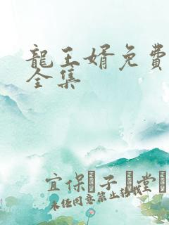 龙王婿免费完结全集
