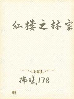 红楼之林家有妻