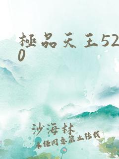 极品天王5200