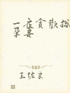 一夜贪欢总裁幸孕妻