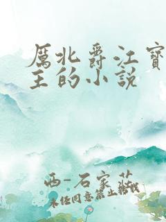 厉北爵江宝宝男主的小说