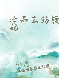冷面王的腹黑王妃