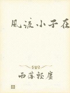 风流小子在异世