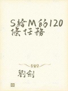 S给M的120条任务
