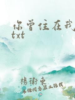 你曾住在我心上txt