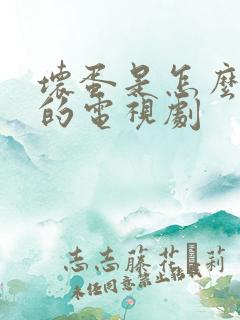 坏蛋是怎么炼成的电视剧