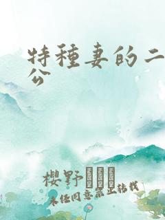 特种妻的二手老公