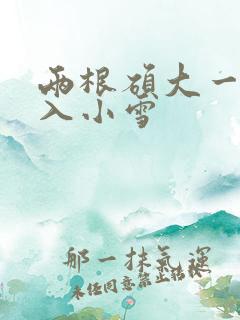 两根硕大一起挤入小雪