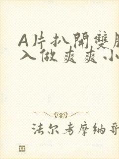 A片扒开双腿进入做爽爽小说