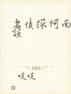 名侦探柯南h小说