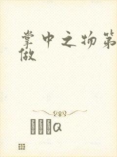 掌中之物第一次做