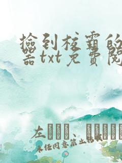 捡到校霸的遥控器txt免费阅读