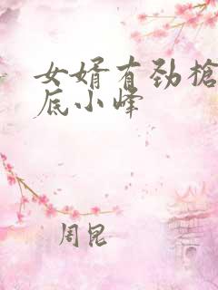 女婿有劲枪枪到底小峰