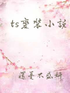 ts变装小说
