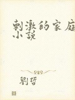 刺激的家庭乱仑小说