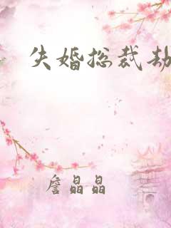 失婚总裁劫前妻