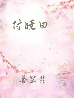 付晓田