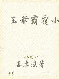 王爷霸宠小甜妻