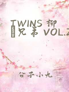 TWINS 柳澤兄弟 VOL.2