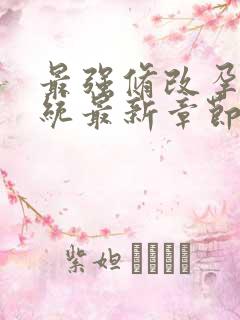 最强修改孕妇系统最新章节