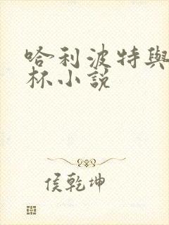 哈利波特与火焰杯小说