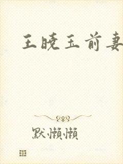 王晓玉前妻
