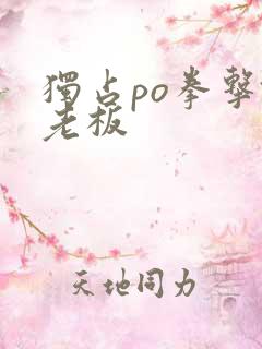 独占po拳击馆老板