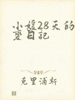 小媛28天的剧变日记
