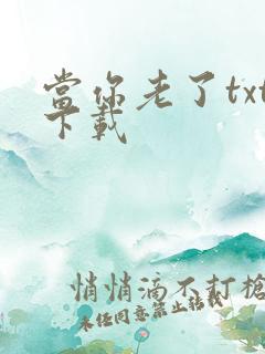 当你老了txt下载