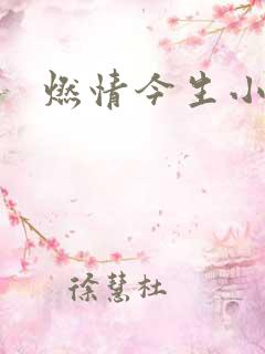 燃情今生小说