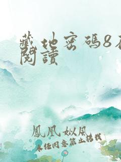 藏地密码8在线阅读