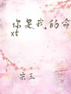 你是我的命运txt