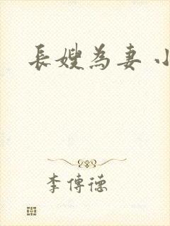 长嫂为妻 小说