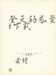 登天的感觉txt下载