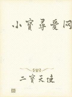 小宝寻爱网
