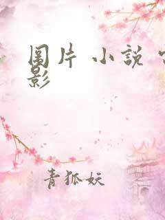 图片 小说 电影