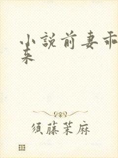 小说前妻乖乖回来