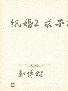 纸婚2 求子记
