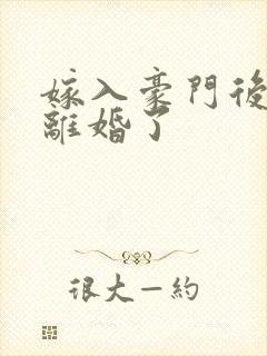 嫁入豪门后我又离婚了