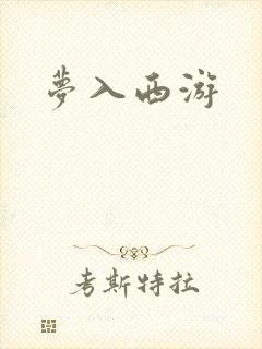 梦入西游
