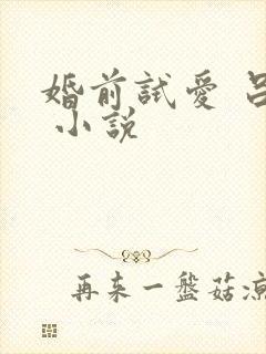 婚前试爱 吕颜 小说