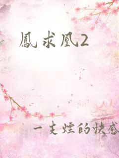 凤求凰2