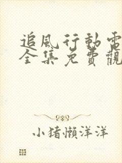 追风行动电视剧全集免费观看