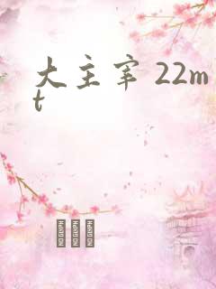 大主宰 22mt