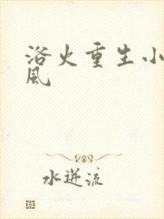 浴火重生小说陈风