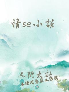 情se小说