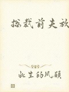 总裁前夫放了我